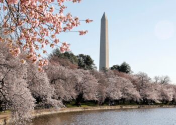 Washington moves of the week: Hoosiers in DC landed big jobs this week, a sign of the sprawling networks of Mike Pence and Pete Buttigieg