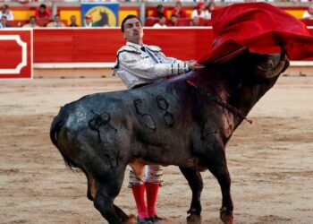Madrid to host charity bullfight for matadors left jobless by COVID-19