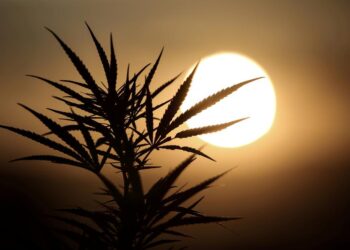 Cannabis banking bill heads to Senate, but future still unclear