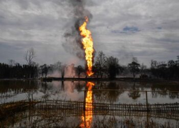 Data was the new oil, until the oil caught fire