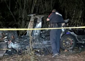 U.S. safety board to release report on Texas Tesla crash within a month