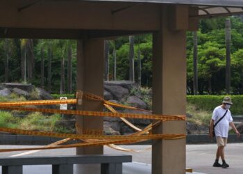 Taiwan adds more domestic COVID cases, but sees trend stable