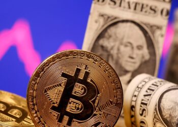 Musk says he supports crypto in battle with fiat money