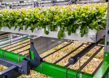 Indoor farming company Bowery raises $300M