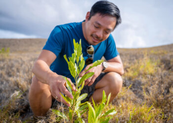 Terraformation gets $30M to fight climate change with rapid reforesting