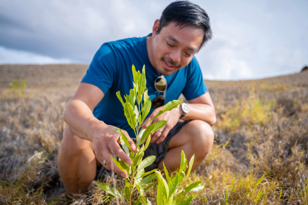 Terraformation gets $30M to fight climate change with rapid reforesting