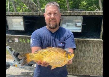 ‘Trophy’ goldfish caught in Virginia sets state record, prompting social media jokes