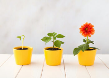 Growth marketing roundup: cool SaaS, marketing lies, VR ads and more