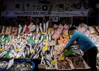 Analysis-When Erdogan’s Turkish economic miracle began failing