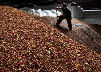 China Markets Panic, Tesla Beats, Coffee Soars, Apple Due