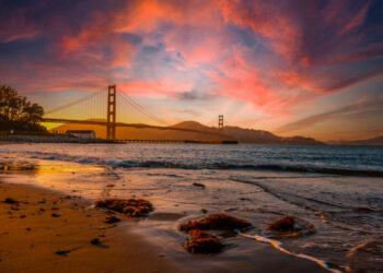 Extra Crunch roundup: Pre-pitch tactics, Warby Parker S-1, Israel’s fintech ecosystem