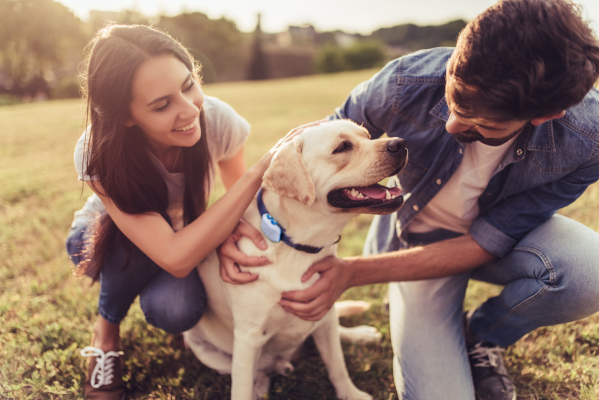 Tech-driven Butternut Box eats its own dog food — raises $55.4M to scale-up