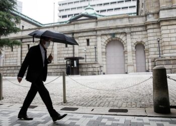 Japan to promote green finance with common platform, scenario analyses