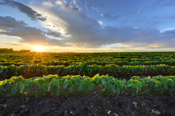 Fintech is transforming the world’s oldest asset class: Farmland