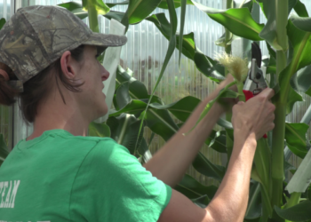 AgBiome lands $166M for safer crop protection technology