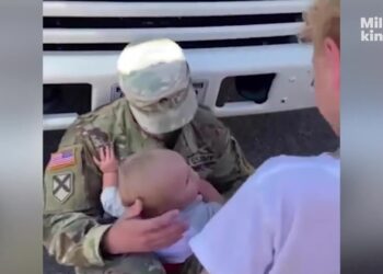 Members of the military come home to tears, tight hugs, and surprised screams