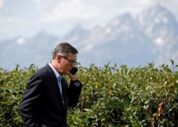 Fed vice chair traded into stocks on eve of Powell pandemic statement