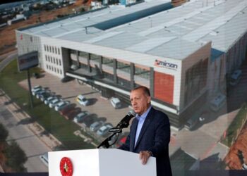 Erdogan’s critics say demand for expulsions is distraction from economy woes