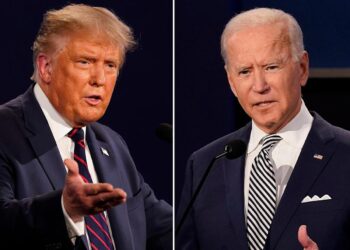 Biden is telling allies he’ll run in 2024 but one Democratic donor said many are just ‘praying that Trump runs,’ report says
