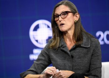 Cathie Wood Buys More Robinhood And Tesla, Tells Investors To Take ‘Advantage’ Of Volatility