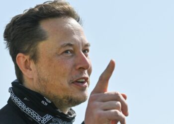 Musk Challenges Putin To ‘Single Combat’ Over Ukraine—Russian Official Calls Him A ‘Little Devil’