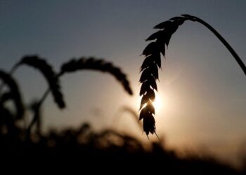 Ukraine’s GDP may fall between 30%-50% in 2022