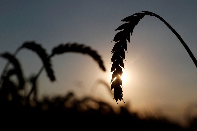 Ukraine’s GDP may fall between 30%-50% in 2022