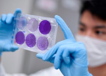 Pfizer’s Covid Vaccine Protection Against Omicron Fades Just Weeks After Second And Third Doses, Study Finds