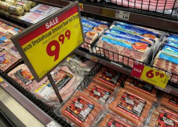 Fed’s Waller: If inflation doesn’t go away, we need to raise rates a lot higher