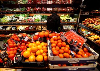 German inflation beat firms case for bigger ECB rate hike