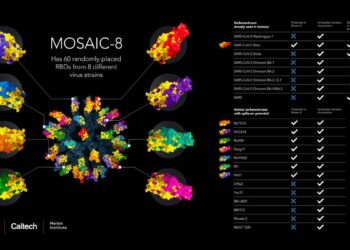 ‘All-In-One’ Vaccine Could Protect Against Future Covid-19 Variants, Researchers Say