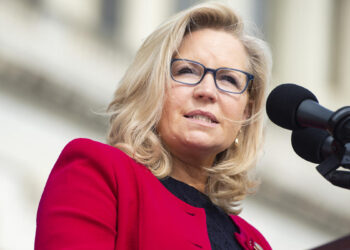 What would a Liz Cheney run for president look like?