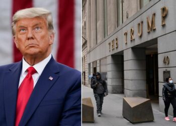 A writer who chronicled Donald Trump’s rise to fame predicted that the Trump Org will be ‘put out of business’