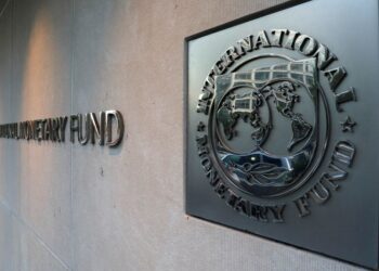 IMF should issue new reserves to help countries tackle overlapping crises