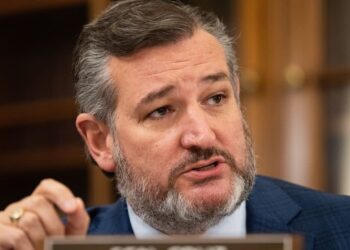 Ted Cruz Falls For Fake News, Then Blames The Real Media For Calling Him Out