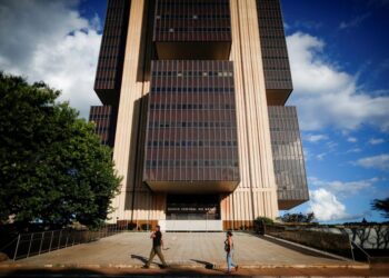 Brazil central bank has to work on reducing 2024 inflation expectations, says director