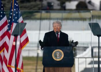 Trump Claims Immunity Over ‘Burn Congress Down’ Hypothetical