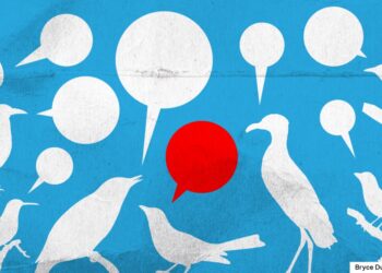 Twitter brings its “For You” and “Following” dual-timeline view to the web