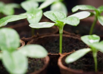 Environmental health and safety software is now a hot commodity