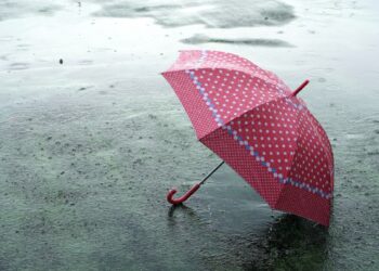 Tech forgot its umbrella