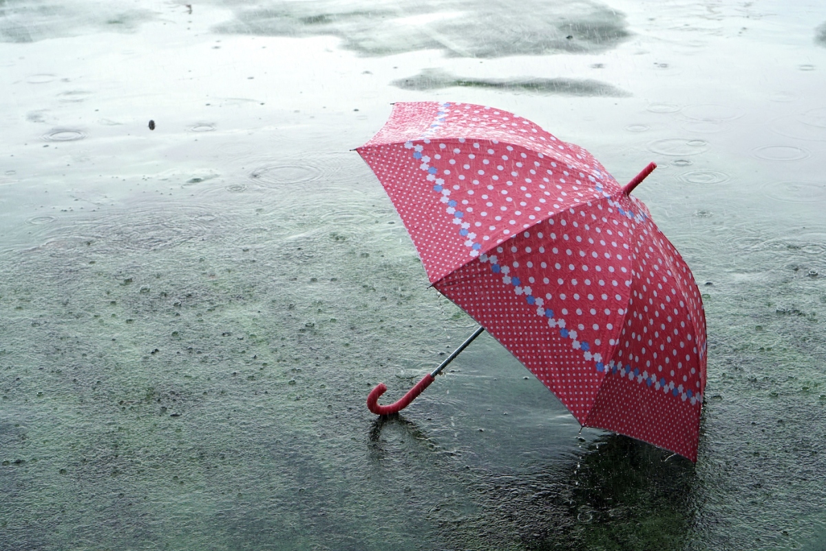Tech forgot its umbrella