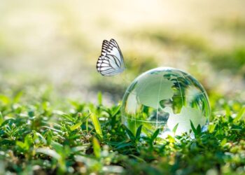 Five Things I’ve Learned As A CTO Of A Clean Tech Company