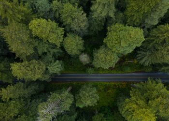 Sequoia heats up early-stage startup investments in India and Southeast Asia