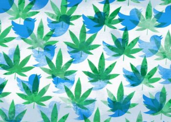 Tweet, tweet, pass: Twitter unlocks a budding growth opportunity for cannabis startups