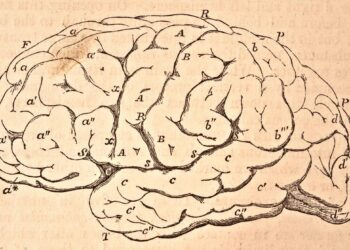 Brainchip Extends AI, Machine Learning In Space And Time With Bio-Inspired Neural Networks