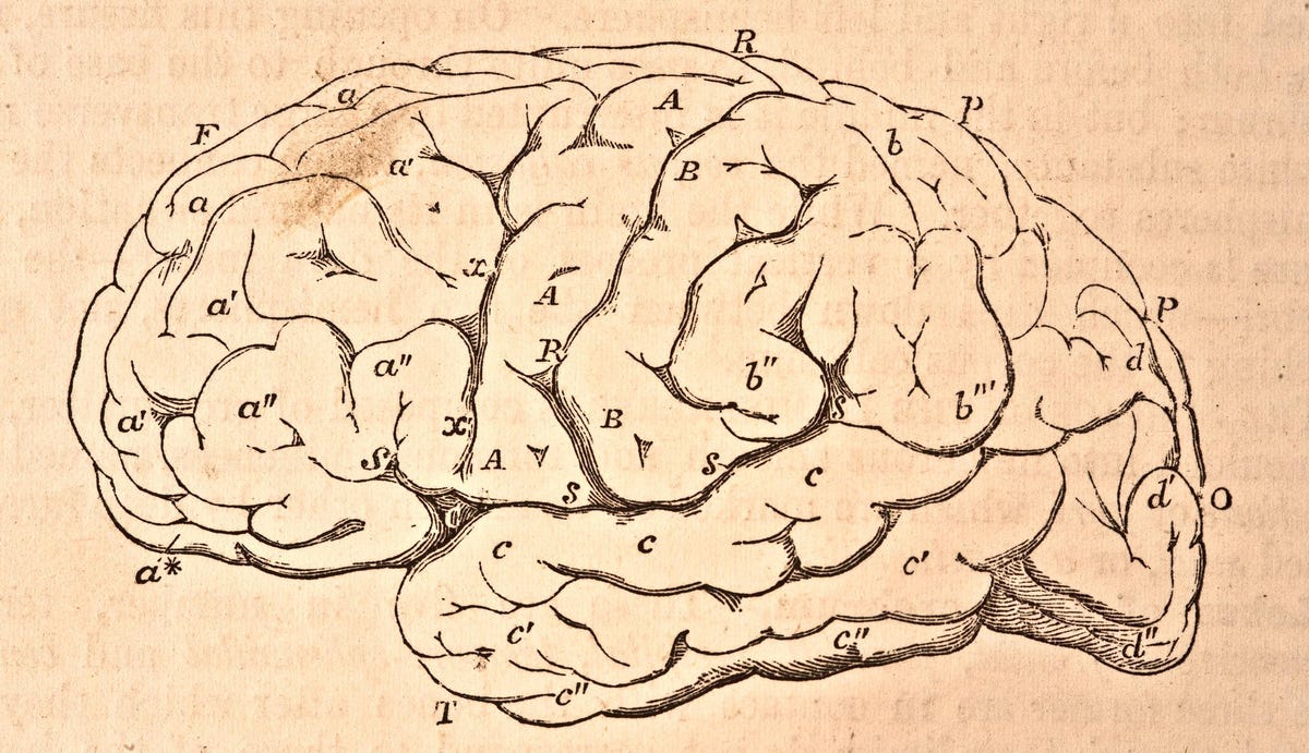 Brainchip Extends AI, Machine Learning In Space And Time With Bio-Inspired Neural Networks