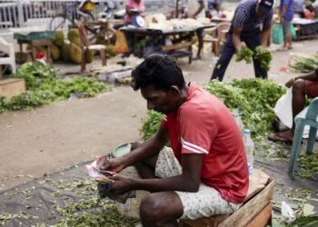 Sri Lanka’s economic crisis: From protests to IMF bailout