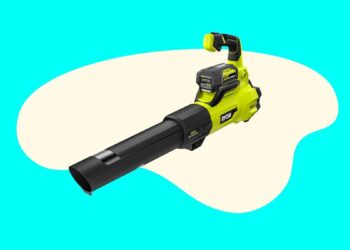 Best Leaf Blowers 2023