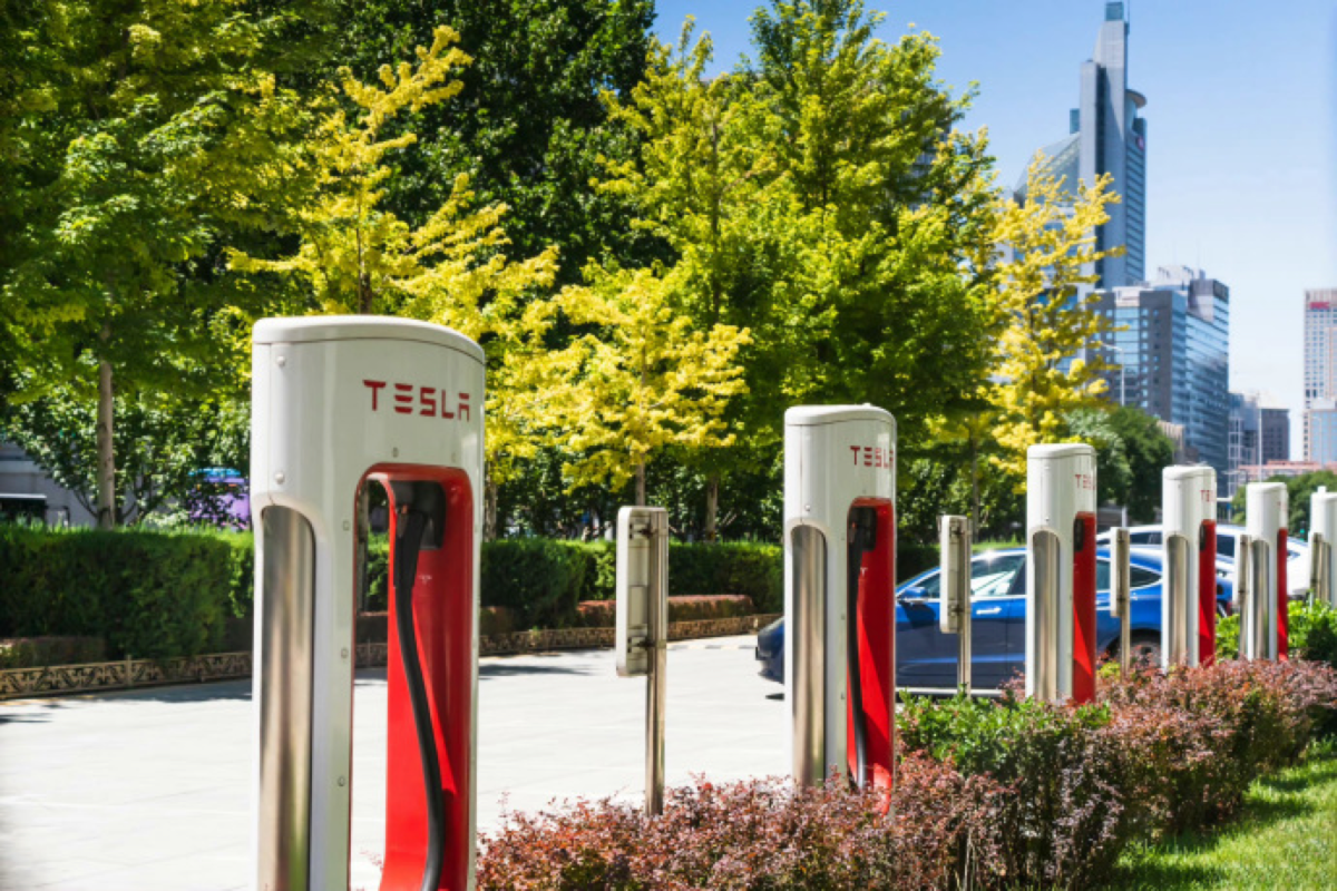 Tesla China boss Tom Zhu named SVP as country sales boom