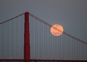 TechCrunch+ roundup: YC Demo Day faves, thrift shop VCs, cybersecurity product challenges